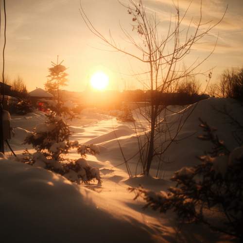 Photo #13492921