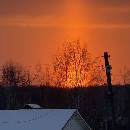 Photo #13493024