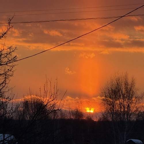 Photo #13493037