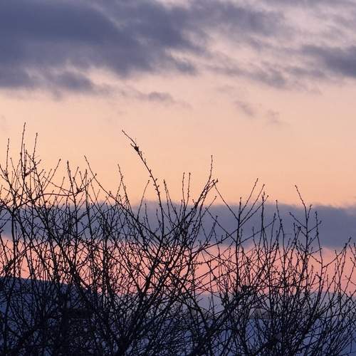 Photo #13493038