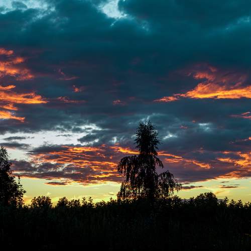 Photo #13493155