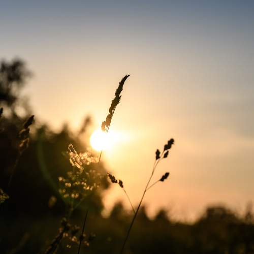 Photo #13493156