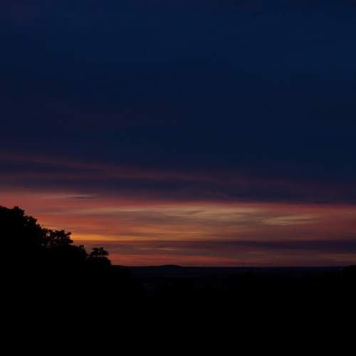 Photo #13493189