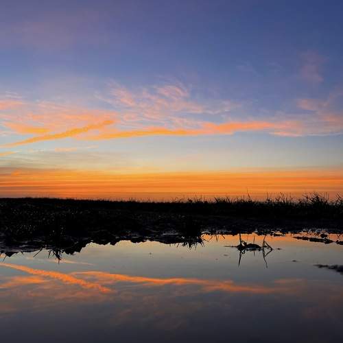 Photo #13493190