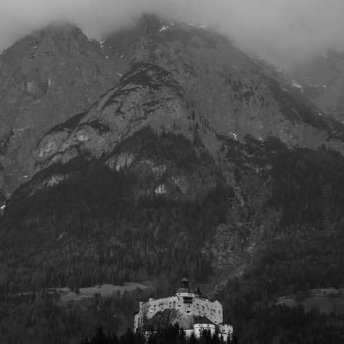 Photo #13493381