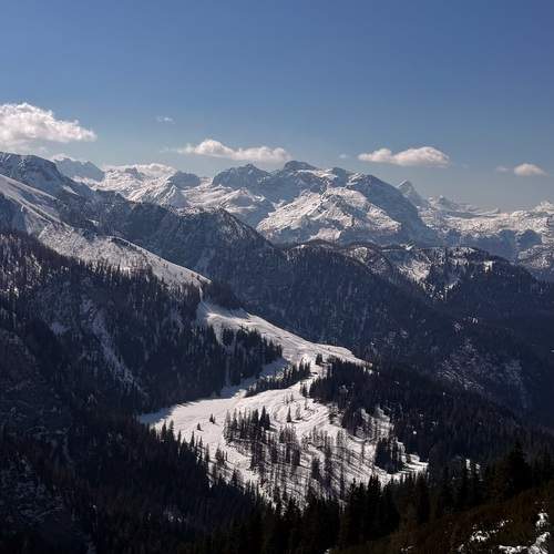 Photo #13493382