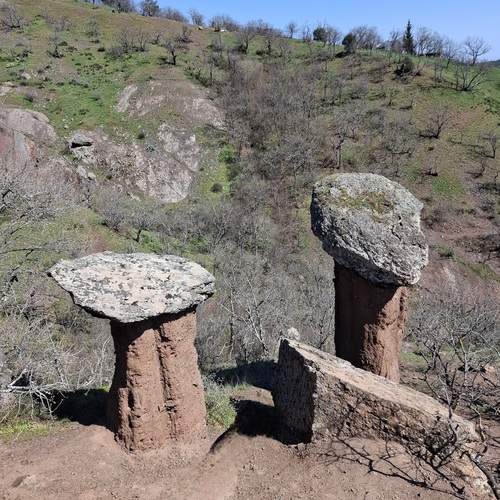 Photo #13493401