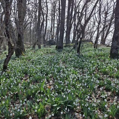 Photo #13493405