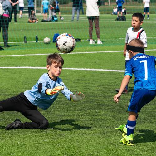 Photo #13493460