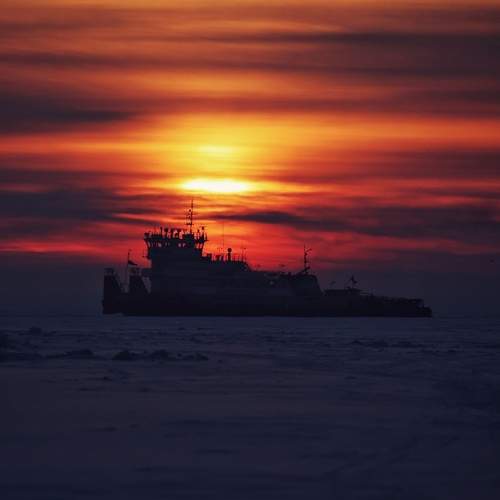 Photo #13493527