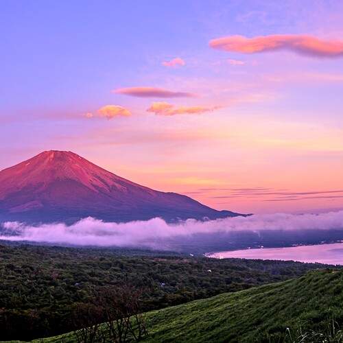 Photo #13493567