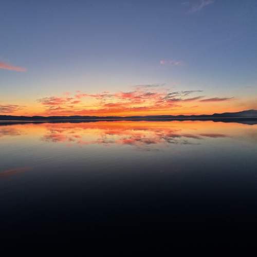 Photo #13493683