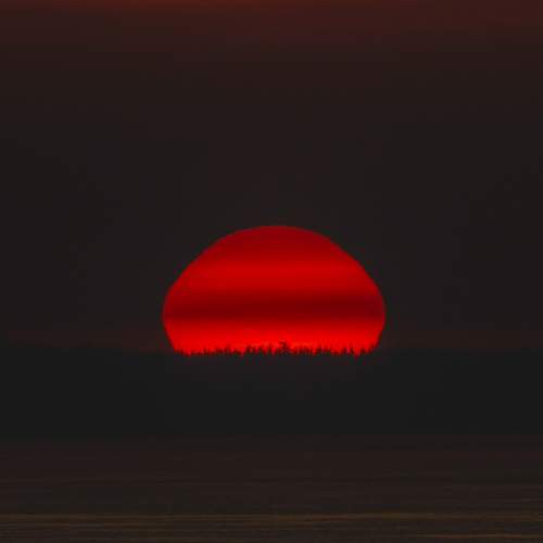 Photo #13493684