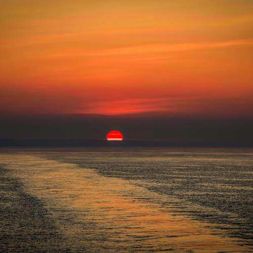 Photo #13493685