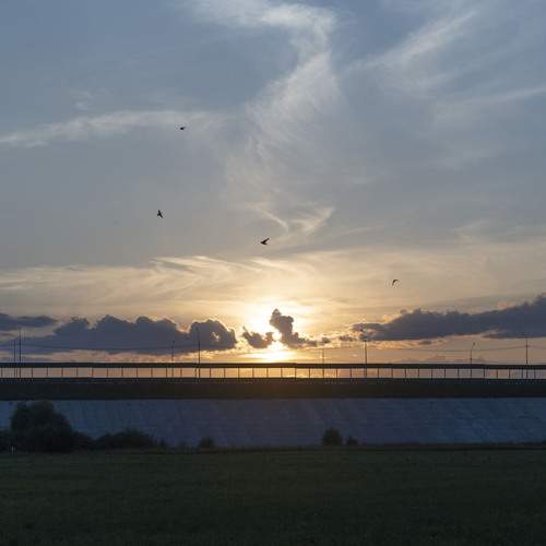 Photo #13493749