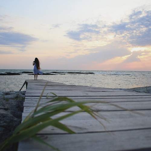 Photo #13493752