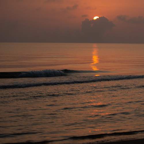 Photo #13493883