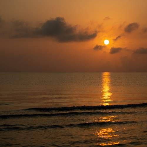 Photo #13493884