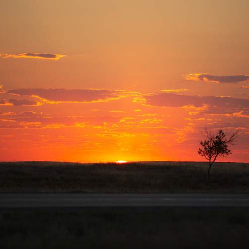 Photo #13493885
