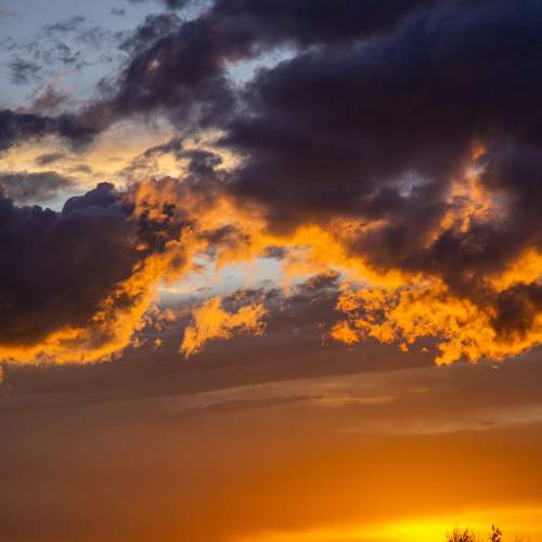 Photo #13493996