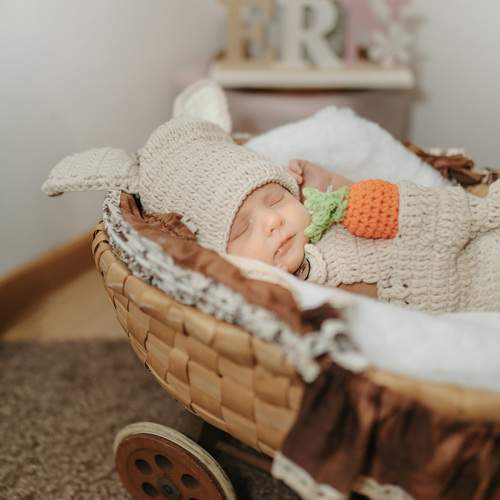 Photo #13494007