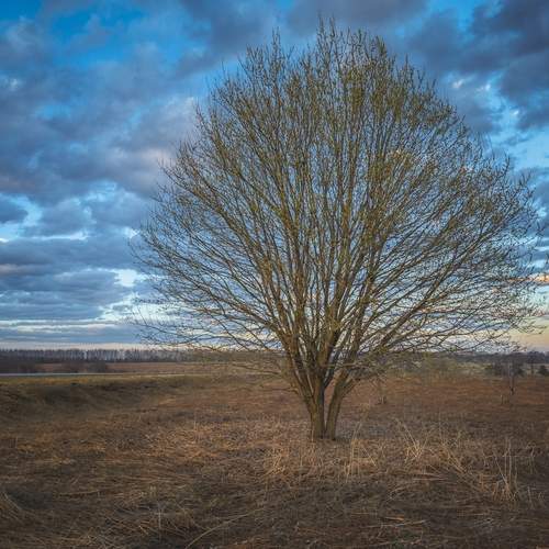 Photo #13494026