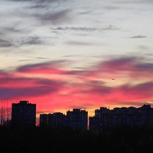 Photo #13494065