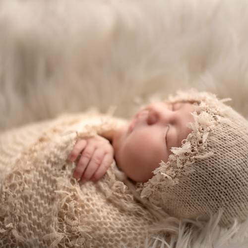 Photo #13494187