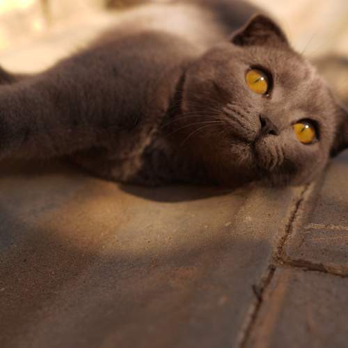 Photo #13494259