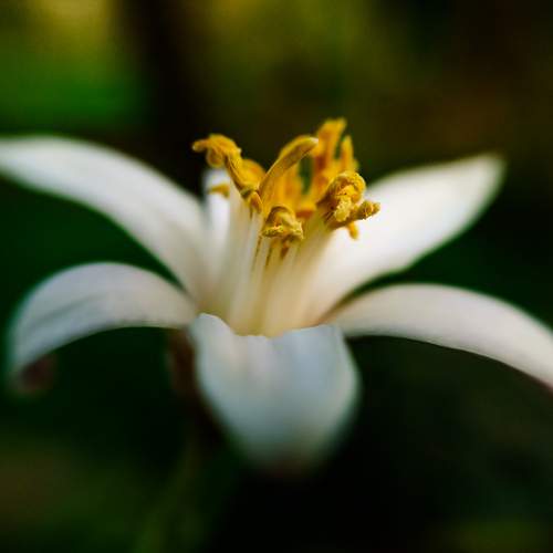 Photo #13494282
