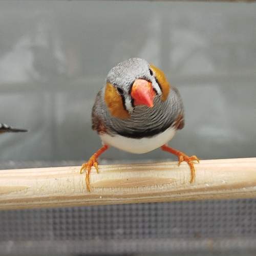 Photo #13494509