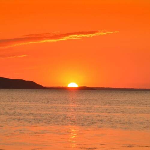 Photo #13494521