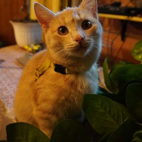 Photo #13494560