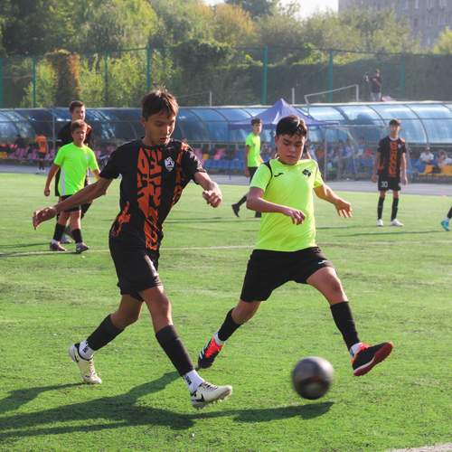 Photo #13494576