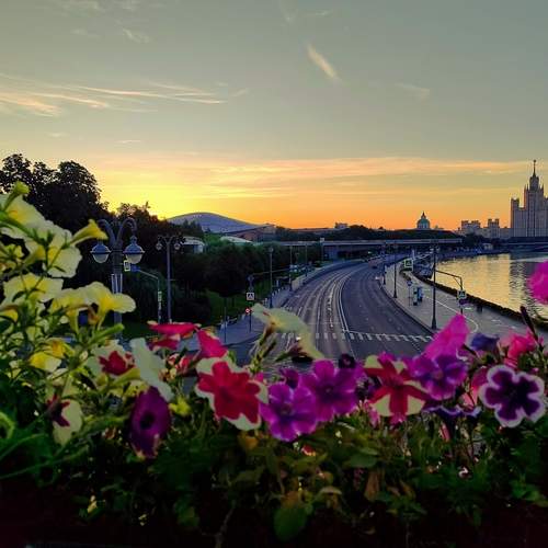 Photo #13494593