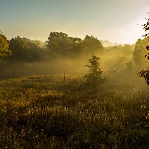 Photo #13494704