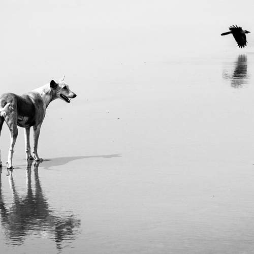 Photo #13494752