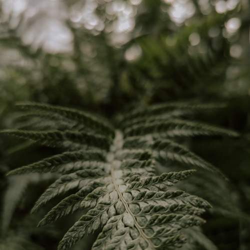 Photo #13494790