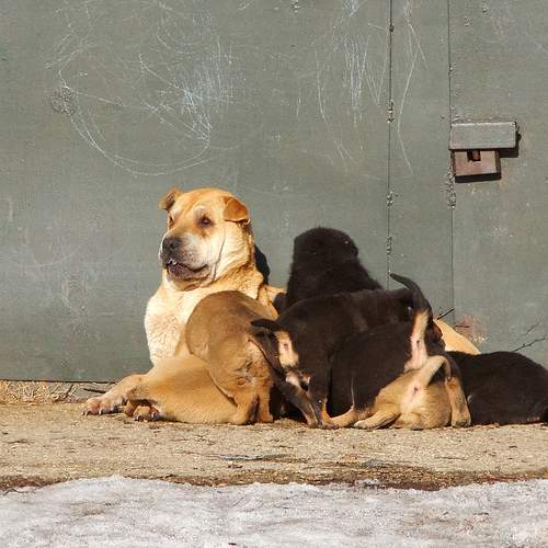 Photo #13494852