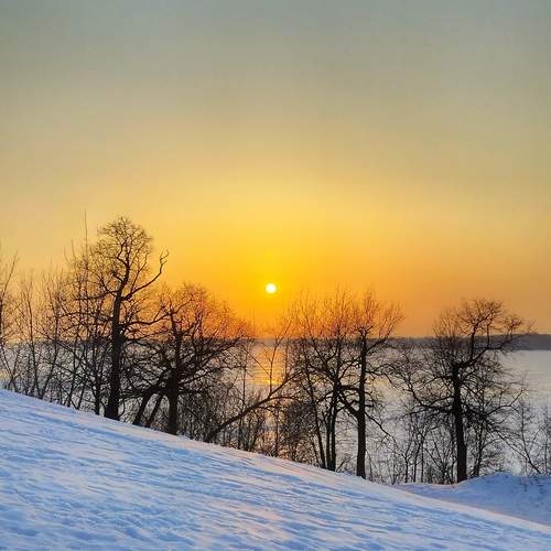 Photo #13494998