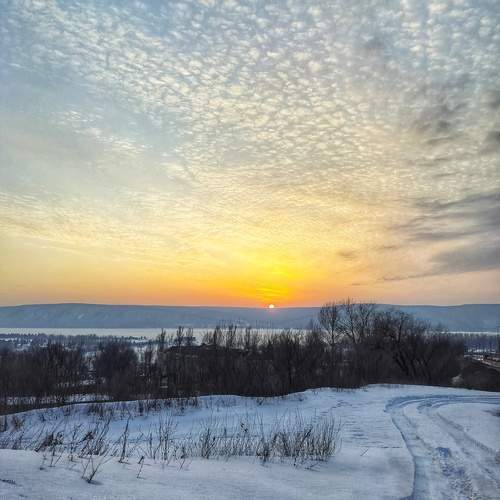 Photo #13495001