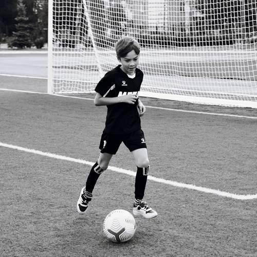 Photo #13495011