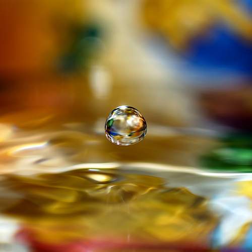 Dynamics of a fall