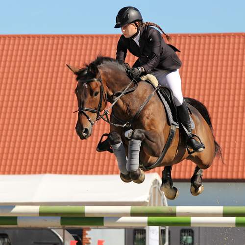 Photo #13495090