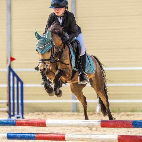 Photo #13495111