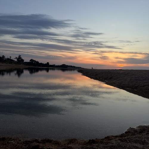 Photo #13495146