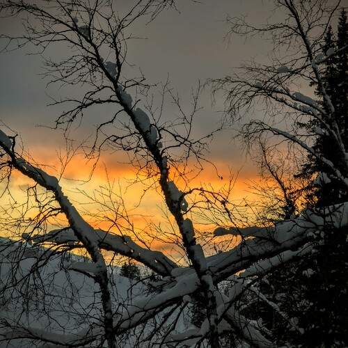 Photo #13495161