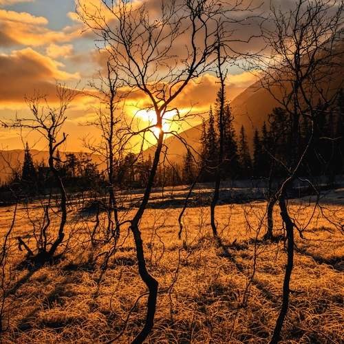 Photo #13495163