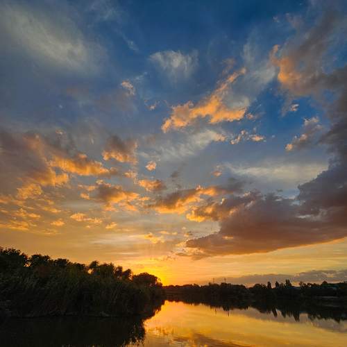 Photo #13495291