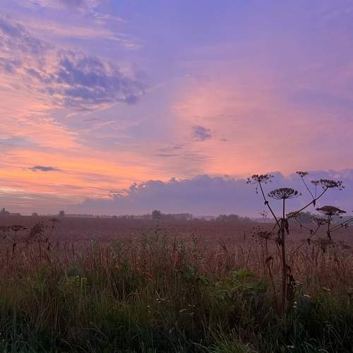 Photo #13495496